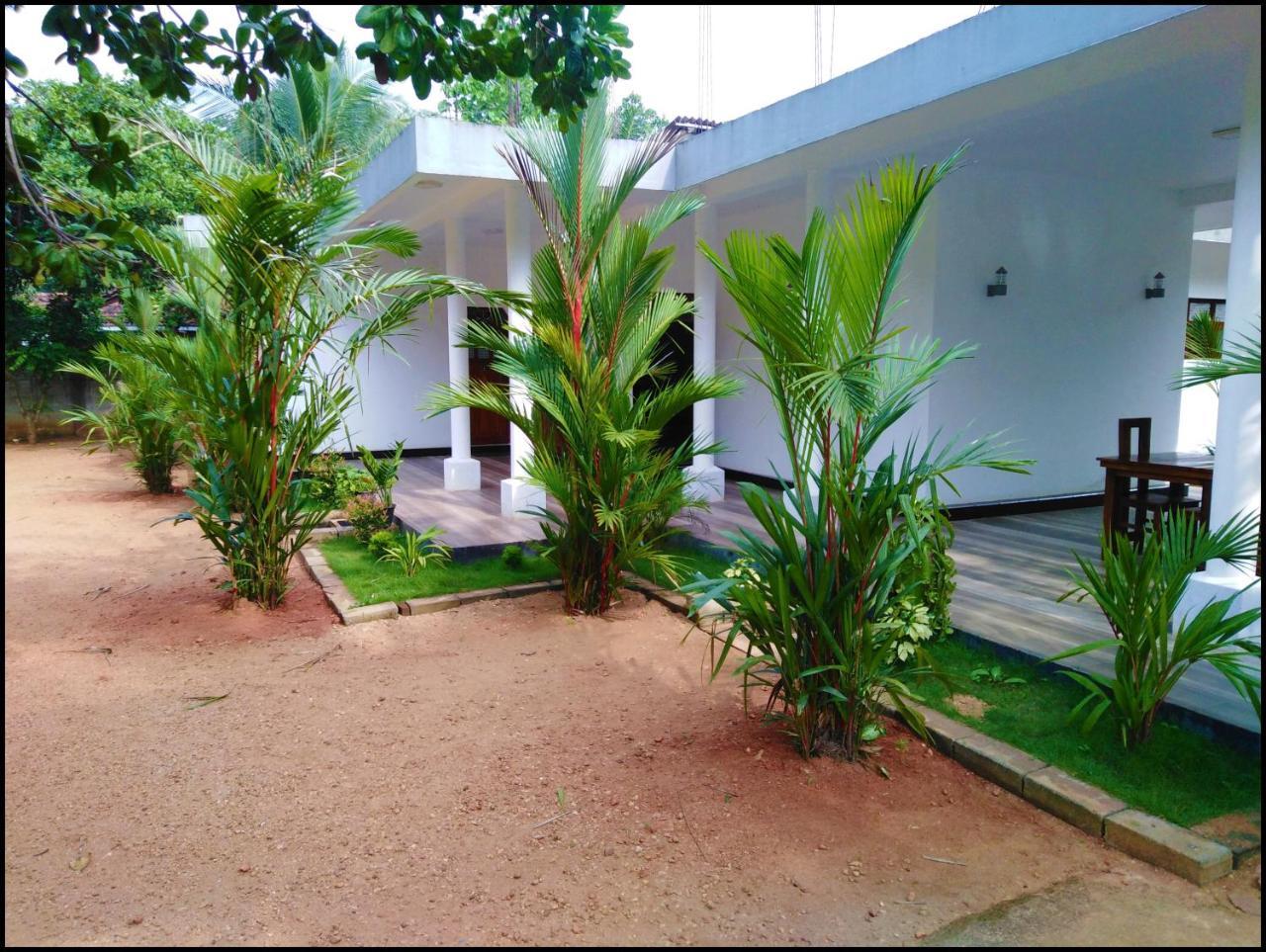 دامبولا Silver Sand Villa المظهر الخارجي الصورة